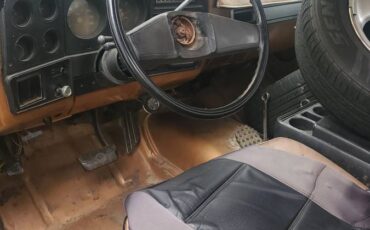 Chevrolet-K10-silverado-4x4-1979-brown-8