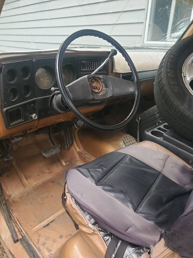 Chevrolet-K10-silverado-4x4-1979-brown-8