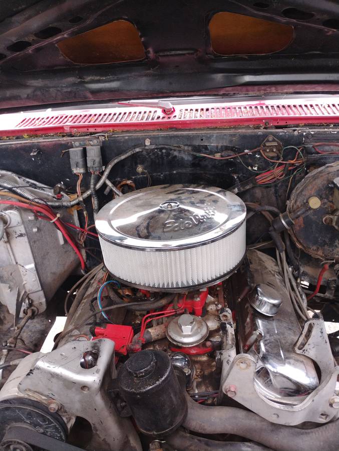 Chevrolet-K20-1981-4