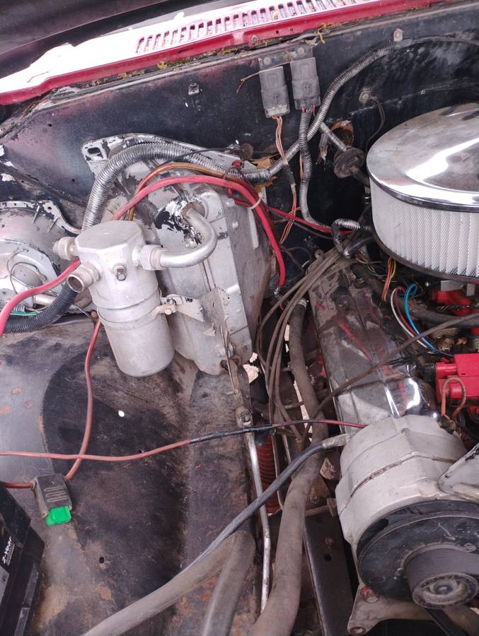 Chevrolet-K20-1981-6