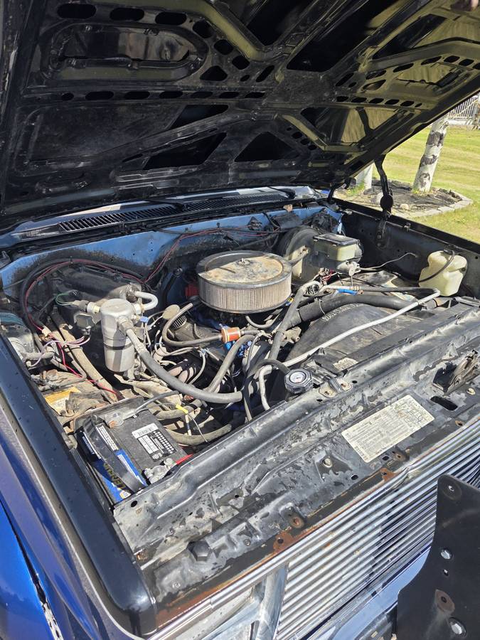 Chevrolet-K5-blazer-1984-8