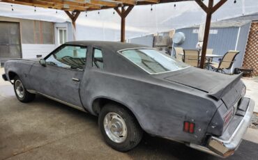 Chevrolet-Malibu-1975-2