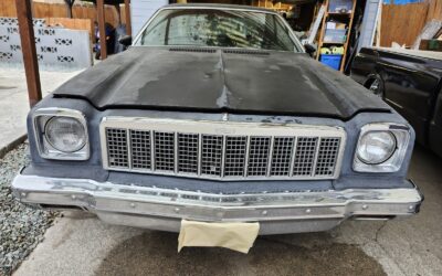 Chevrolet Malibu 1975