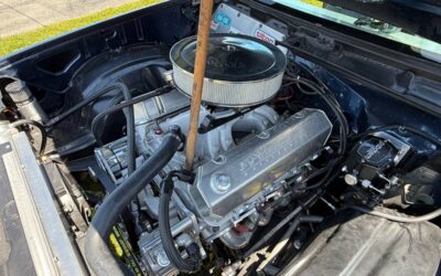 Chevrolet Malibu  1979 blue
