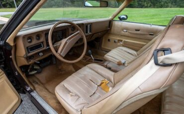 Chevrolet-Monte-carlo-1977-brown-10
