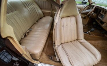Chevrolet-Monte-carlo-1977-brown-12