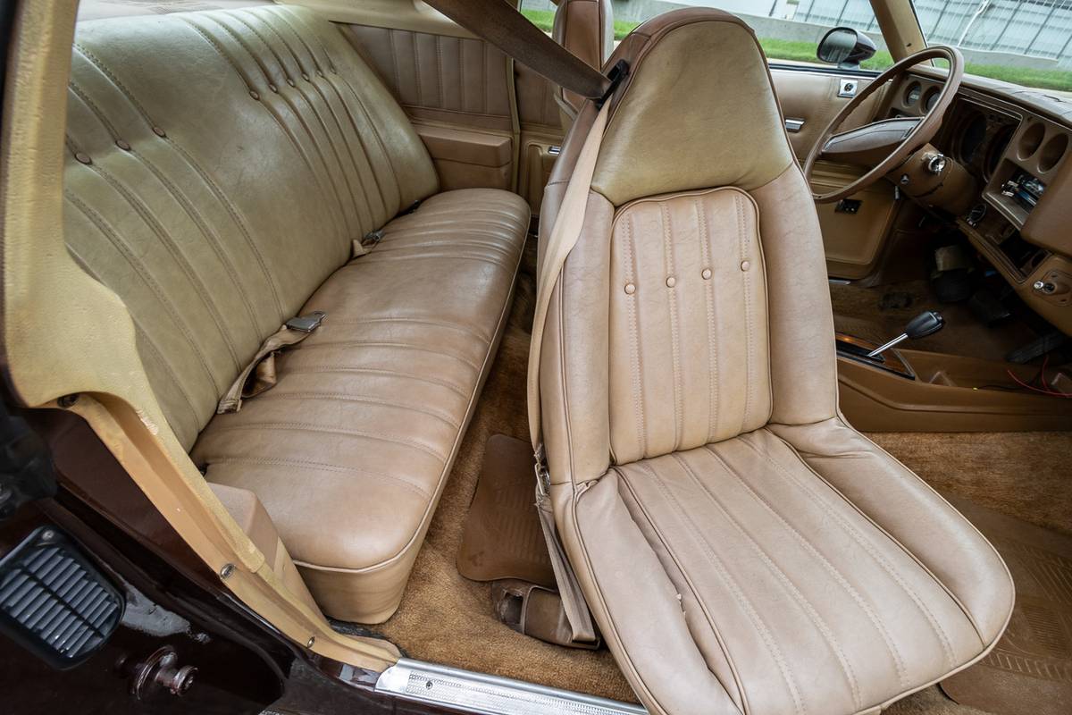 Chevrolet-Monte-carlo-1977-brown-12