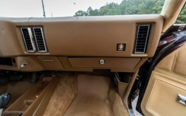 Chevrolet-Monte-carlo-1977-brown-13
