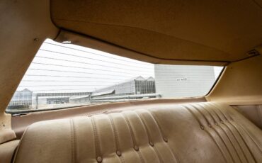 Chevrolet-Monte-carlo-1977-brown-14