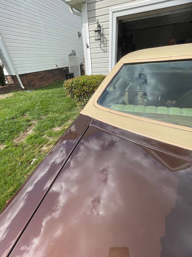 Chevrolet-Monte-carlo-1977-brown-17