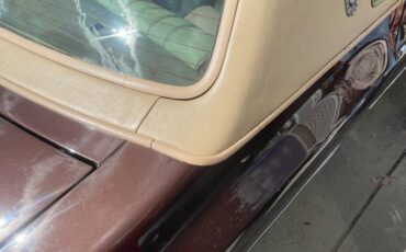 Chevrolet-Monte-carlo-1977-brown-18