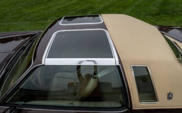 Chevrolet-Monte-carlo-1977-brown-5