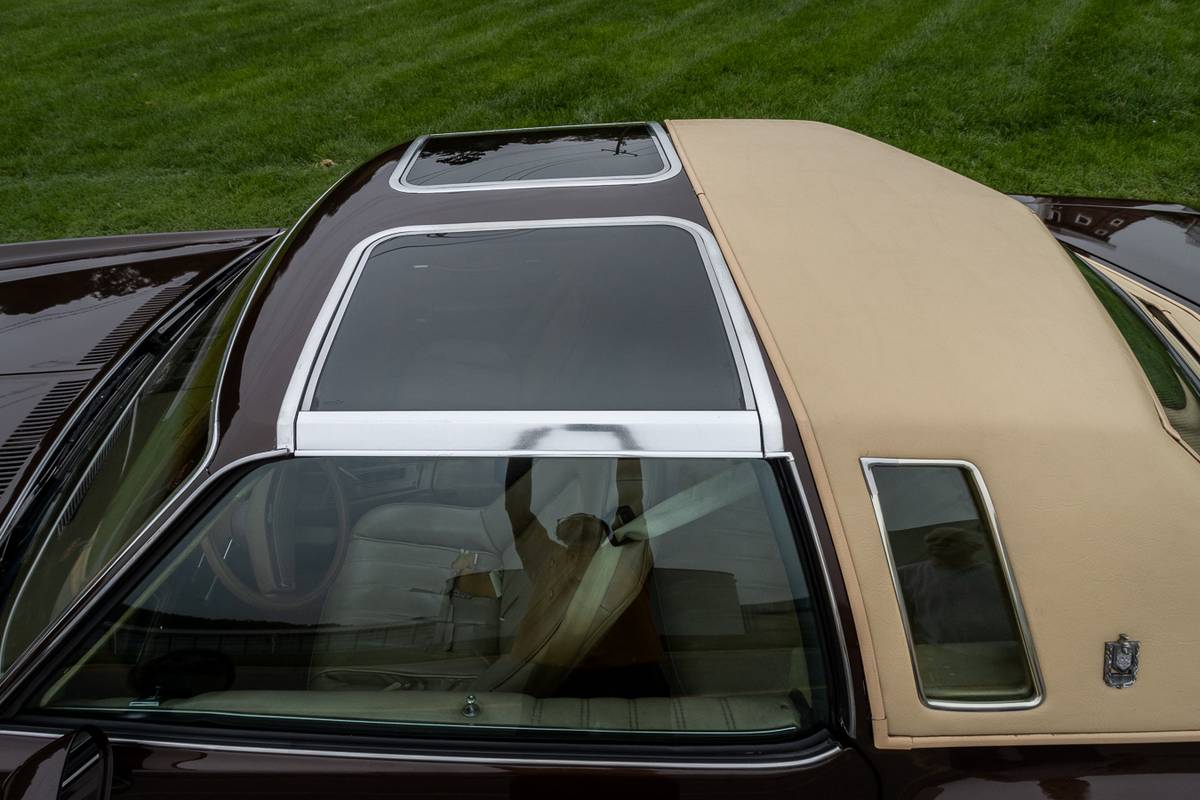 Chevrolet-Monte-carlo-1977-brown-5