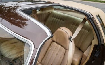 Chevrolet-Monte-carlo-1977-brown-6