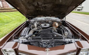 Chevrolet-Monte-carlo-1977-brown-7
