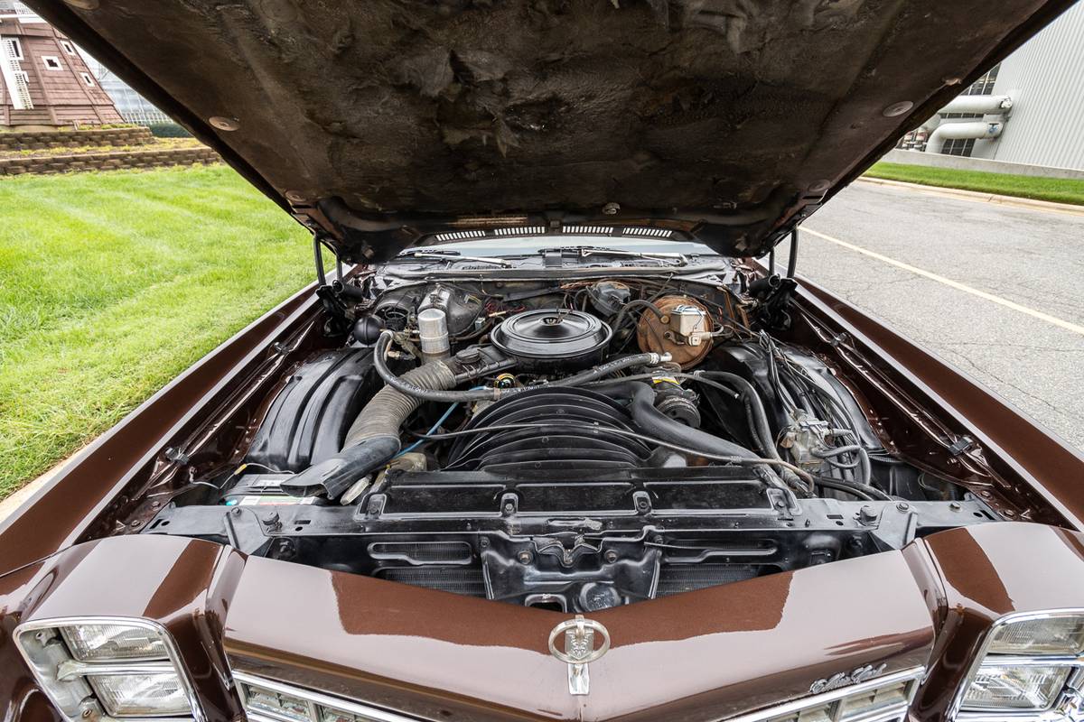 Chevrolet-Monte-carlo-1977-brown-7