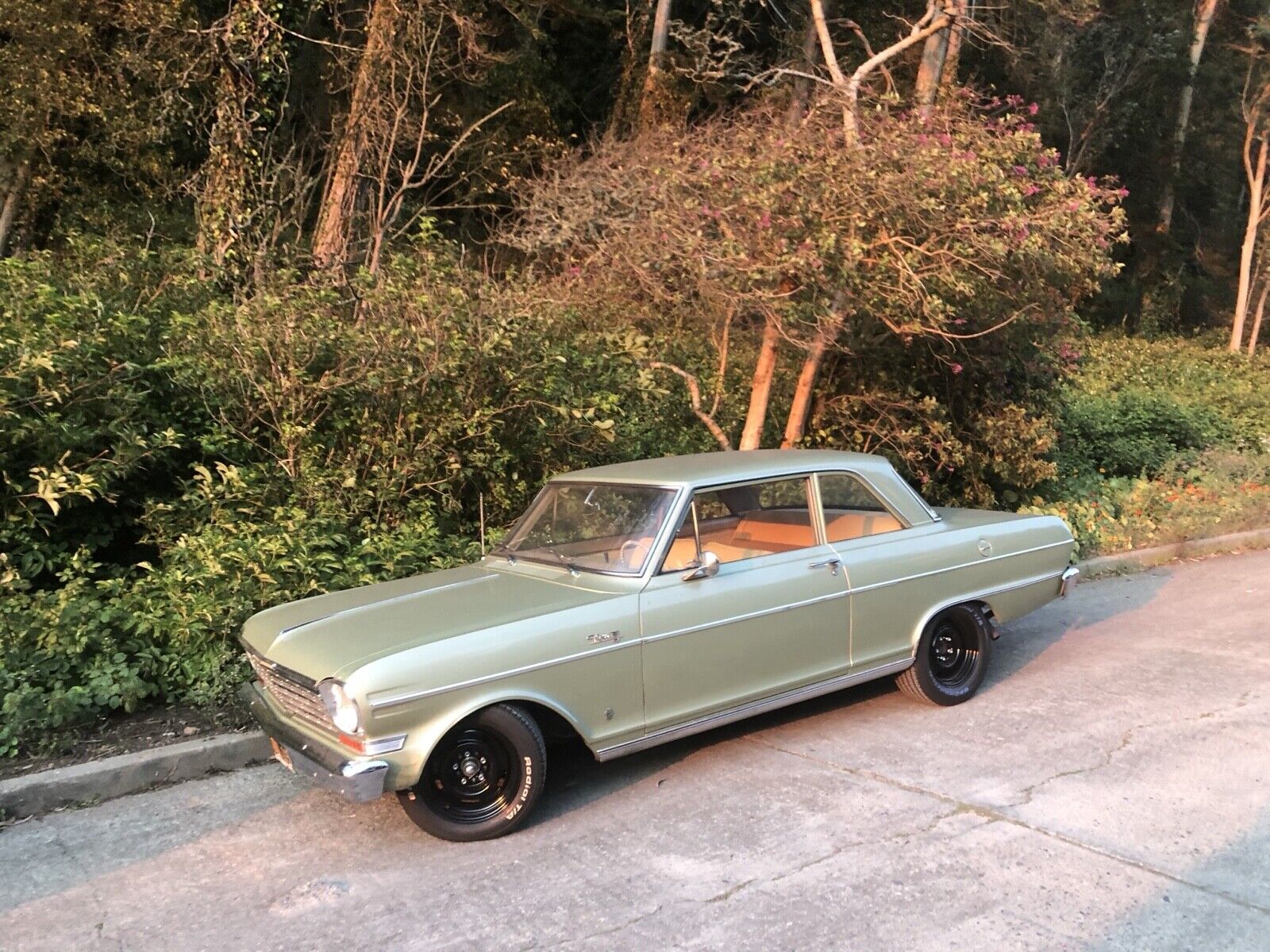 Chevrolet-Nova-1964-Sedan-3