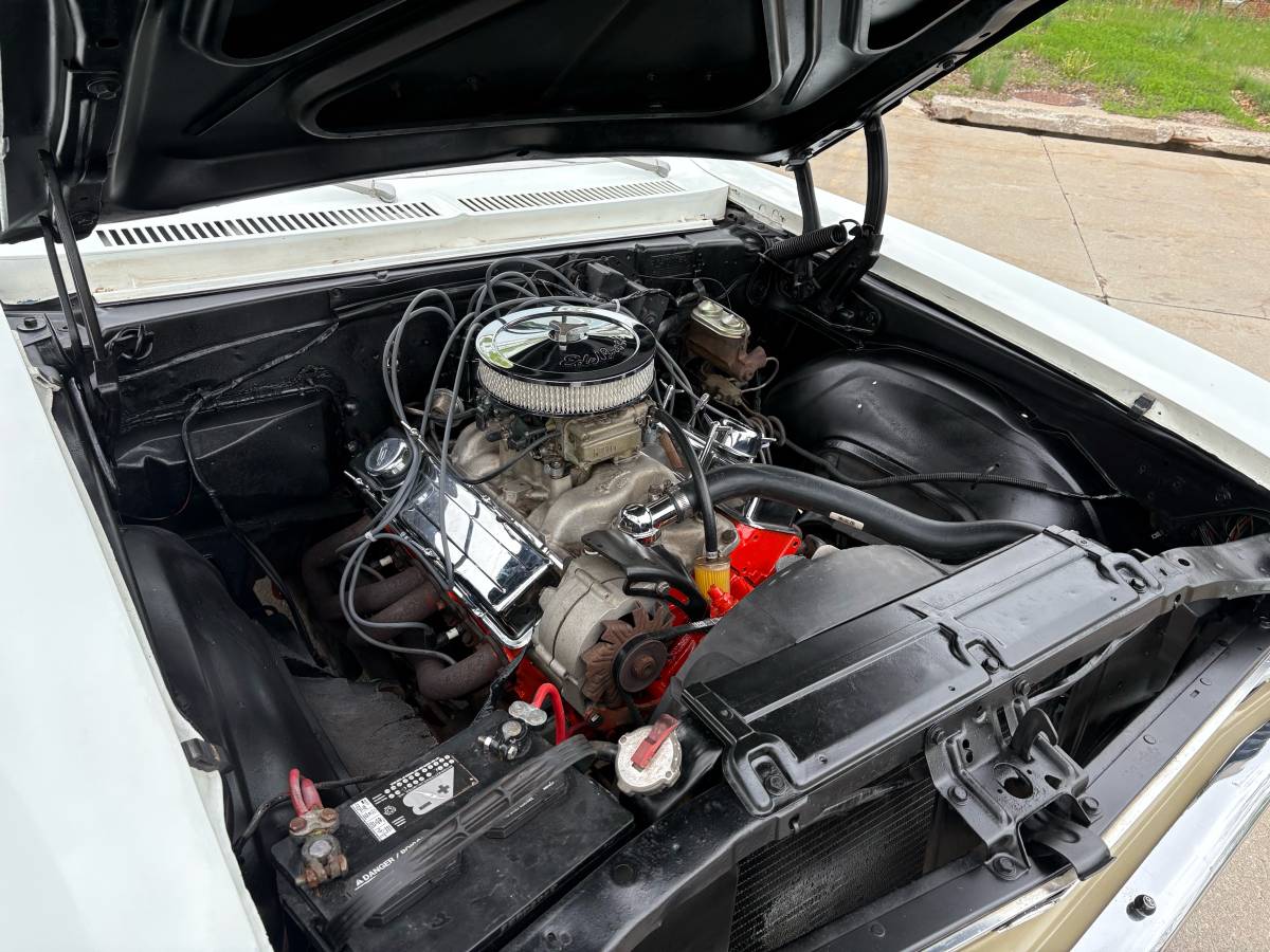 Chevrolet-Nova-1969-white-6