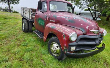 Chevrolet-Other-Pickups-1954-Standard-Cab-Pickup-14