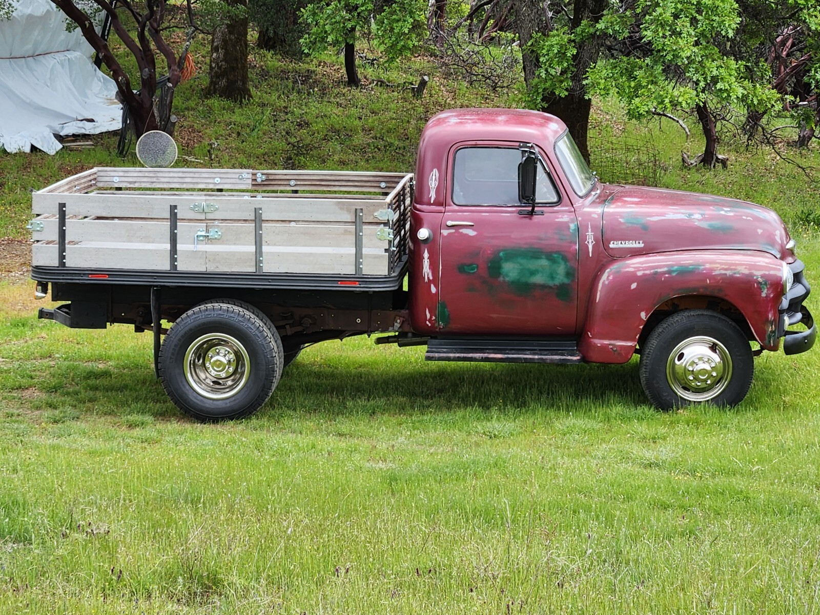 Chevrolet-Other-Pickups-1954-Standard-Cab-Pickup-3