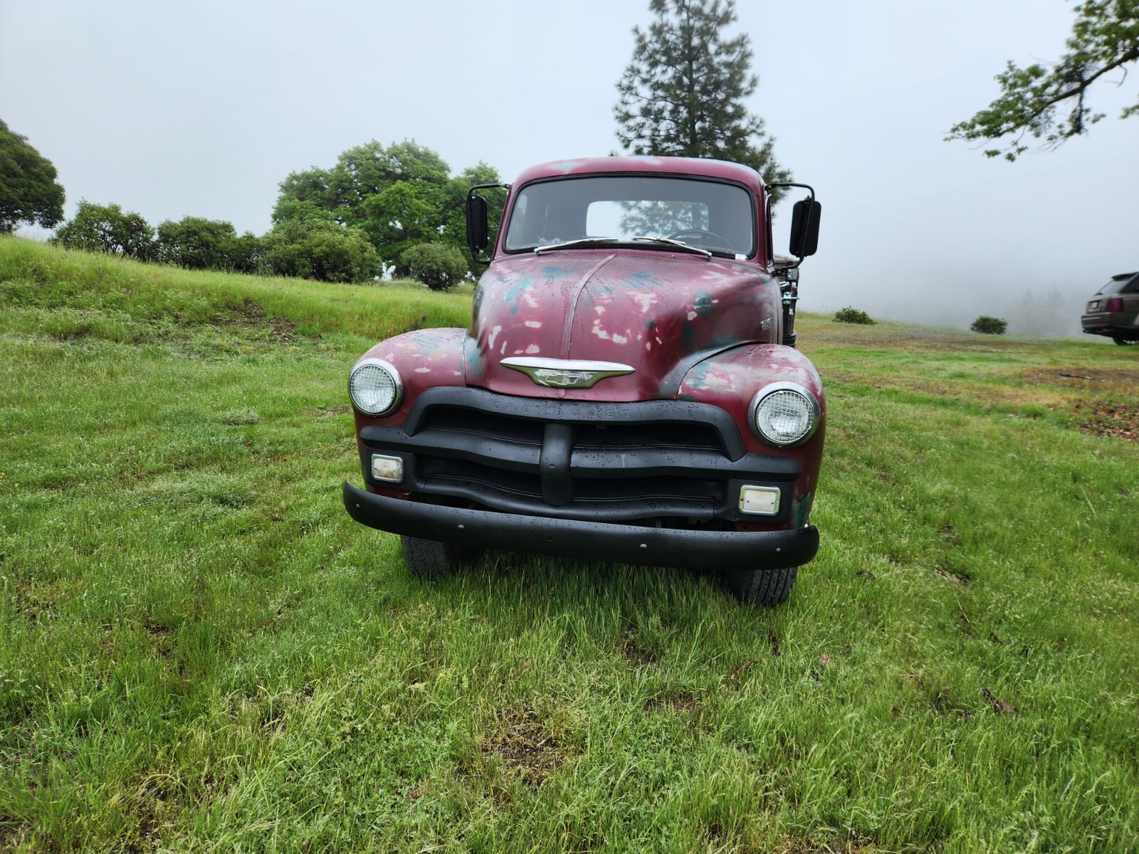 Chevrolet-Other-Pickups-1954-Standard-Cab-Pickup-9