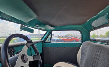 Chevrolet-Other-Pickups-1968-Pickup-Truck-12