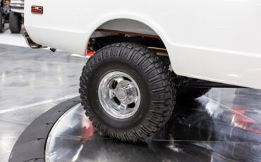 Chevrolet-Other-Pickups-1970-Pickup-Truck-16