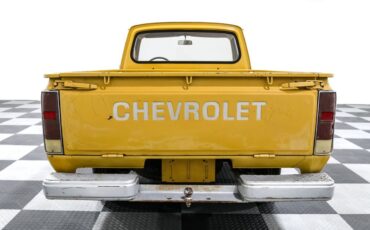 Chevrolet-Other-Pickups-1975-Pickup-Truck-5