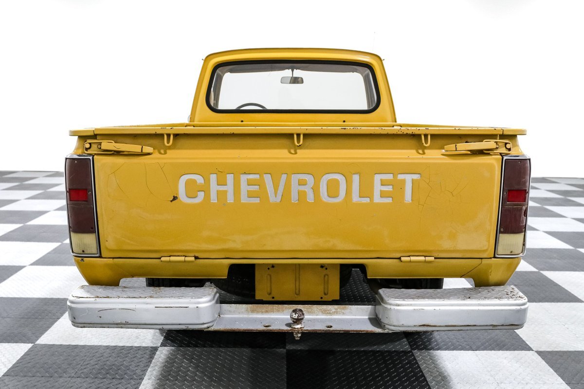 Chevrolet-Other-Pickups-1975-Pickup-Truck-5
