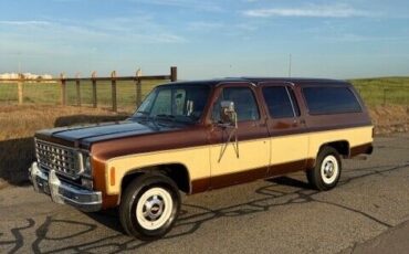 Chevrolet-Other-Pickups-1977-Pick-up-1