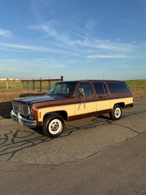 Chevrolet-Other-Pickups-1977-Pick-up-1