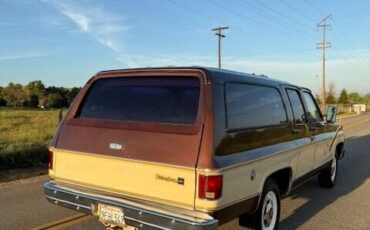 Chevrolet-Other-Pickups-1977-Pick-up-10