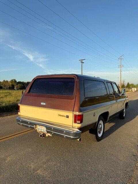 Chevrolet-Other-Pickups-1977-Pick-up-10