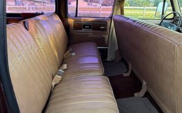Chevrolet-Other-Pickups-1977-Pick-up-12