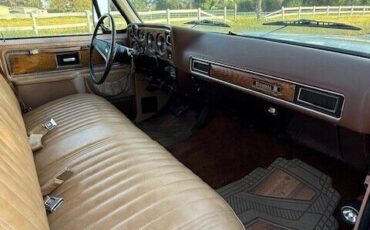 Chevrolet-Other-Pickups-1977-Pick-up-13