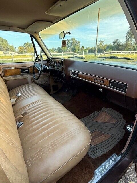 Chevrolet-Other-Pickups-1977-Pick-up-13
