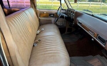 Chevrolet-Other-Pickups-1977-Pick-up-14