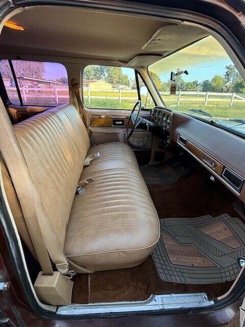 Chevrolet-Other-Pickups-1977-Pick-up-14