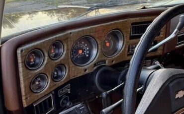 Chevrolet-Other-Pickups-1977-Pick-up-15