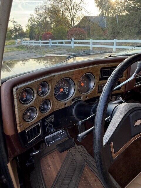 Chevrolet-Other-Pickups-1977-Pick-up-15