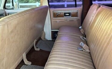 Chevrolet-Other-Pickups-1977-Pick-up-16