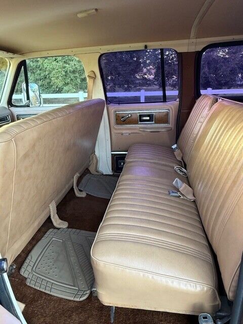 Chevrolet-Other-Pickups-1977-Pick-up-16