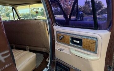 Chevrolet-Other-Pickups-1977-Pick-up-17