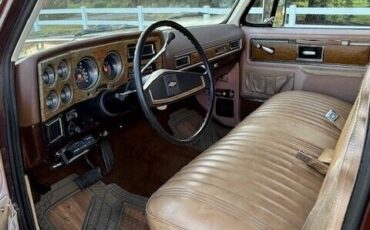 Chevrolet-Other-Pickups-1977-Pick-up-18