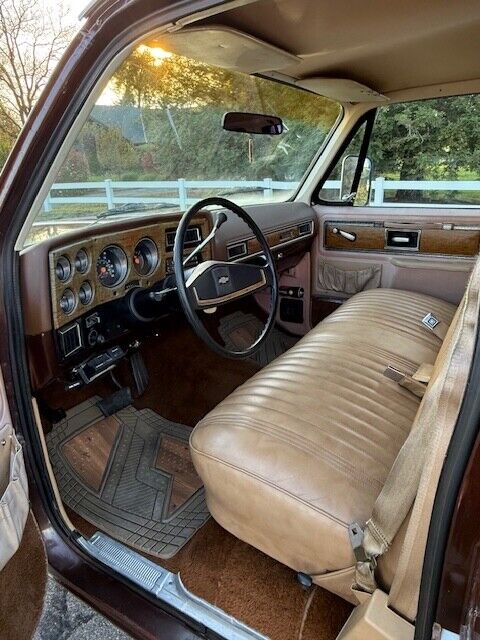 Chevrolet-Other-Pickups-1977-Pick-up-18