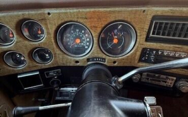Chevrolet-Other-Pickups-1977-Pick-up-19