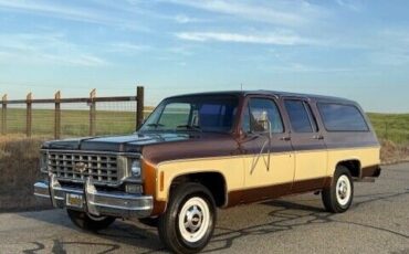 Chevrolet-Other-Pickups-1977-Pick-up-2