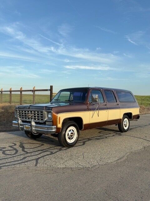 Chevrolet-Other-Pickups-1977-Pick-up-2