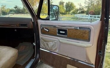 Chevrolet-Other-Pickups-1977-Pick-up-21