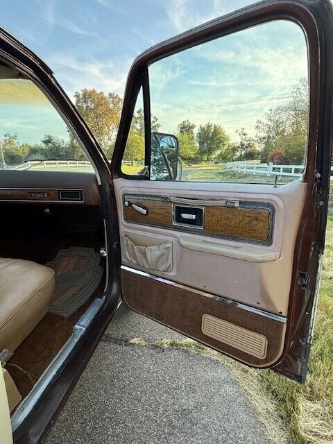 Chevrolet-Other-Pickups-1977-Pick-up-21